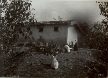 Levico. Autoreserve. Kaninchenstall. (BildID 15649033)
