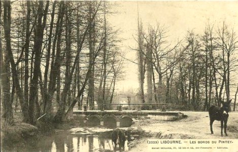 Libourne le Pintey