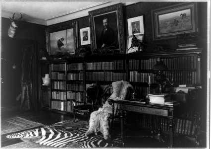 Library at Sagamore Hill LCCN92520598