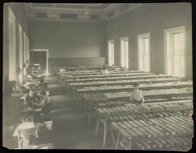 Library of Congress staff working at desks and long tables LCCN2002718275