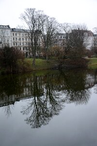 Forest rain lake photo