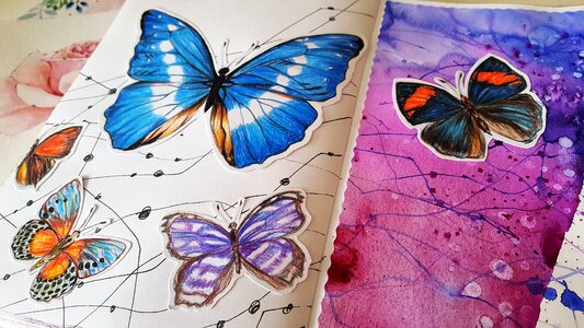 Butterfly color paper