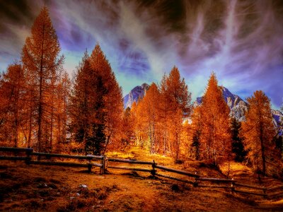 Alpine nature view