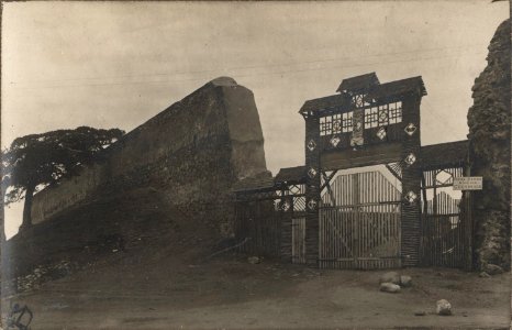 Lidzki zamak. Лідзкі замак (1919-21)