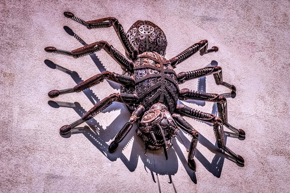 Giant arachnid mechanic