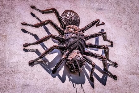 Giant arachnid mechanic