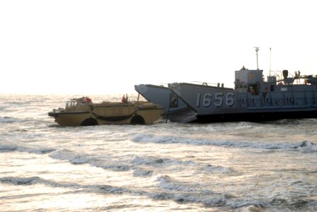 Light amphibious re-supply cargo vehicle delivers hay to stranded cows on Galveston beach DVIDS117365