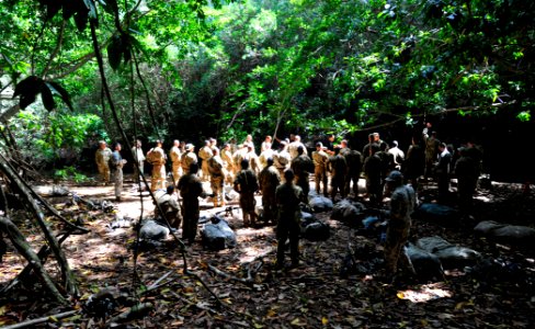 Lightning Academy transitions Joint Force from Desert to Jungle 160309-N-VA915-030