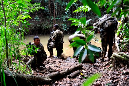 Lightning Academy transitions Joint Force from Desert to Jungle 160309-N-VA915-174