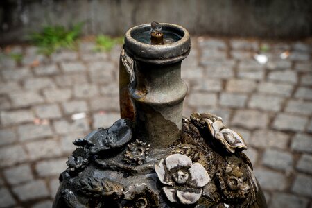 Drop of water water drip photo