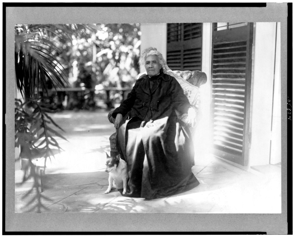 Liliuokalani, Queen of Hawaii, full-length portrait, seated, outdoors, with dog, facing slightly left LCCN92513983