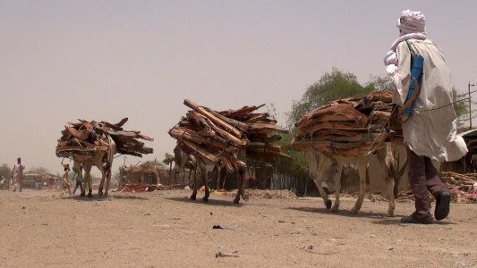 Life goes on in Bosso, Niger, 19 April 2017 11