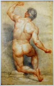 Lille PdBA batoni academie