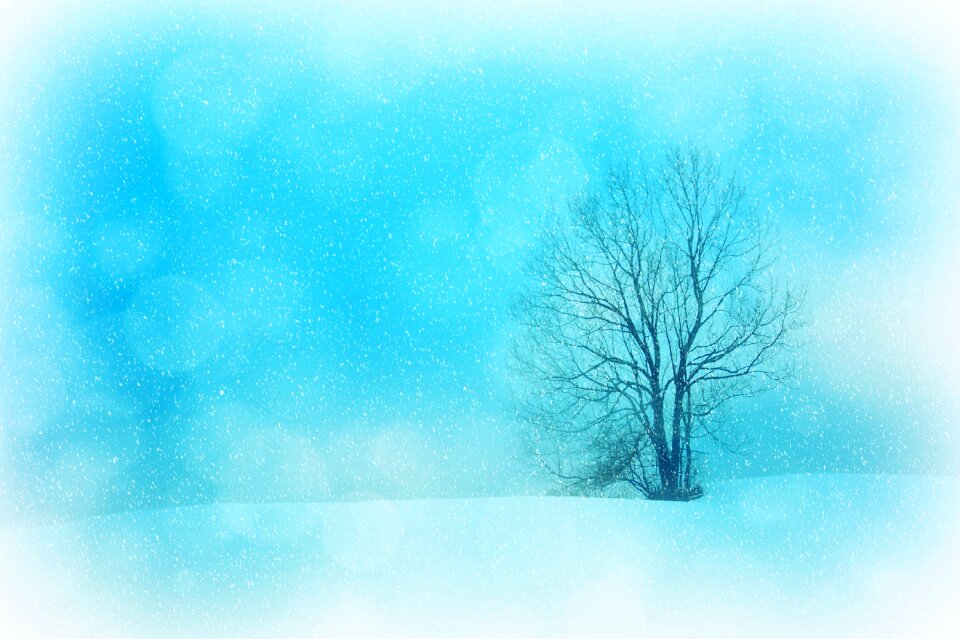 Wintry snow snowflakes
