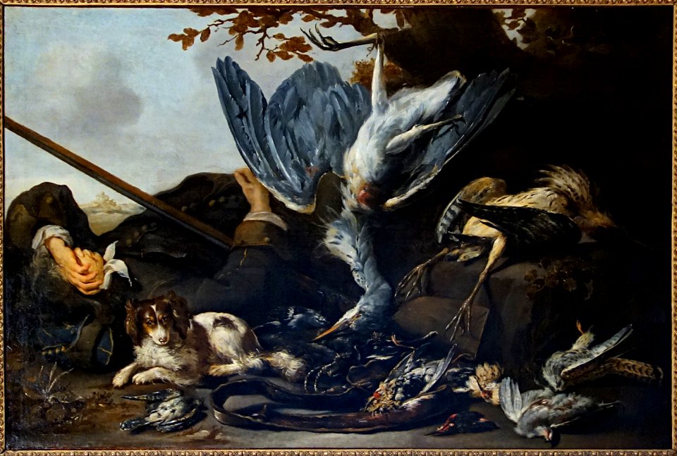 Lille PdBA weenix apres la chasse