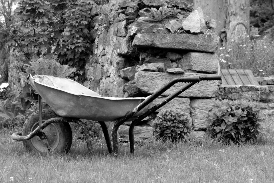Cotentin st vaast la hougue garden