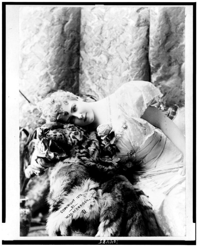 Lillian Russell, three-quarter length portrait, seated, facing slightly left leaning left on tiger head & skin LCCN91796072