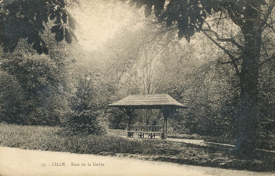 Lille - 37 - Bois de la Deule