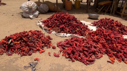 Life goes on in Bosso, Niger, 19 April 2017 13