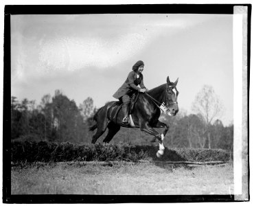 Lillie Roosevelt LCCN2016829054
