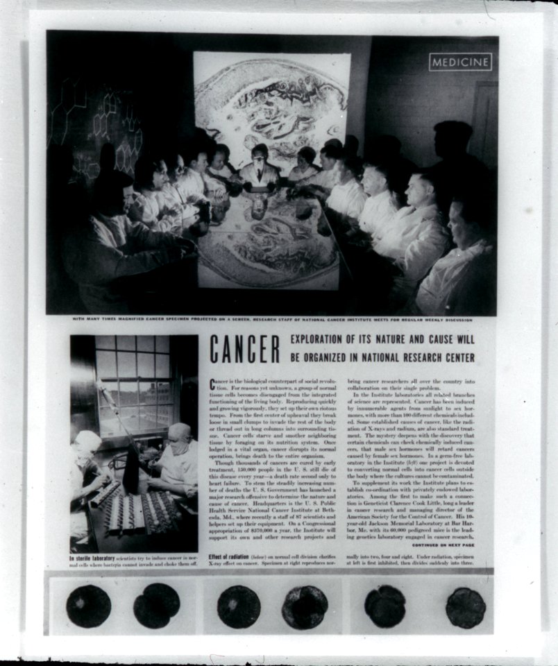 Life magazine article on NCI