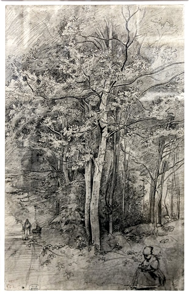 Lille PdBA Corot etude foret compiegne
