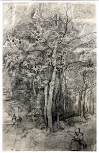 Lille PdBA Corot etude foret compiegne