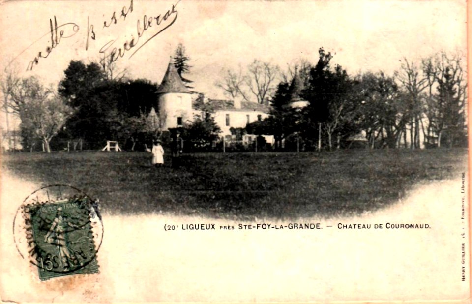 Ligueux - château de Couronaud 1