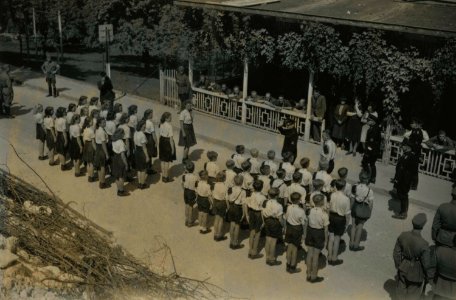 Limburgsche Volksdag - Fotodienst der NSB - NIOD - 156330