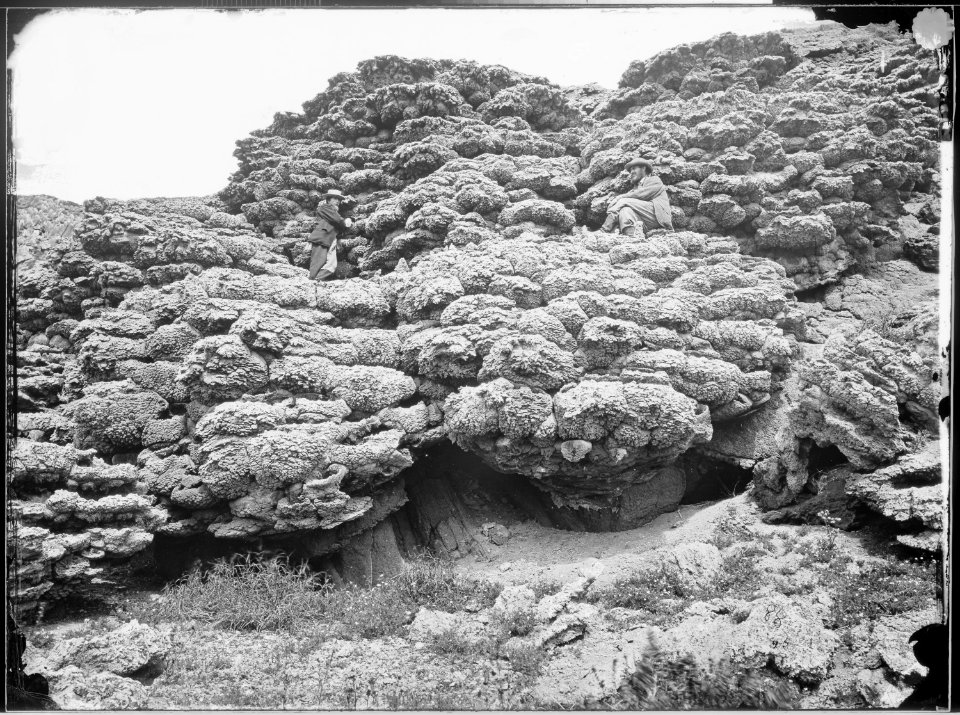 Lime Tufa Formation. Anaho Island, Pyramid Lake, Western Nevada. - NARA - 519486