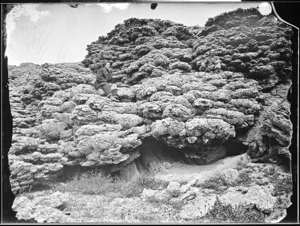 Lime Tufa Formation. Anaho Island, Pyramid Lake, Western Nevada. - NARA - 519487