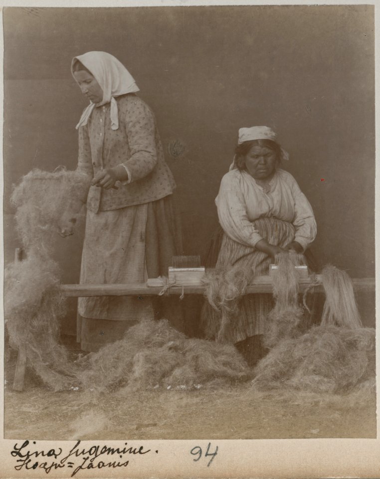 Lina sugamine Harju-Jaanis, AM13813F11684 094