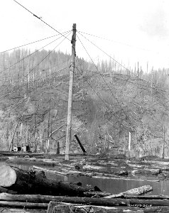 Linco Log and Lumber Company Highline photo