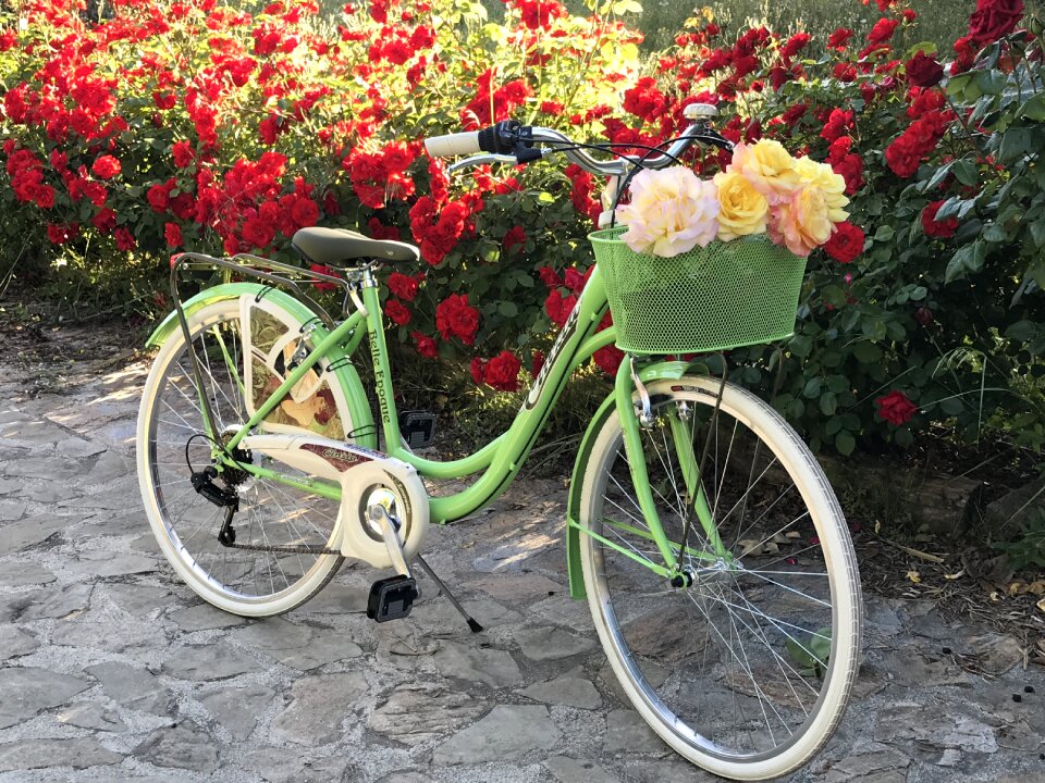 Spring cyclist wheels