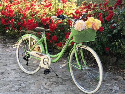 Spring cyclist wheels