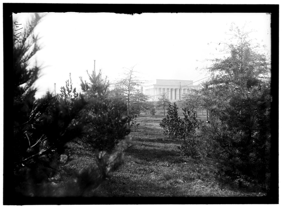 LINCOLN MEMORIAL THROUGH FOLIAGE OF POTOMAC PARK LCCN2016868571