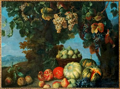 Lille pdba desportes nature morte