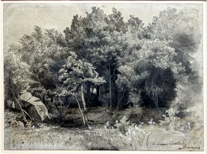 Lille PdBA francais etude bois sacre
