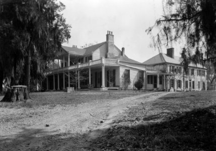 Linden in Natchez photo