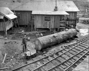 Linco Log and Lumber Company cutting kindling photo