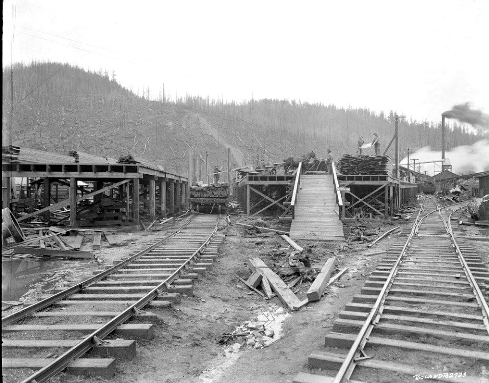 Linco Log and Lumber Company platform