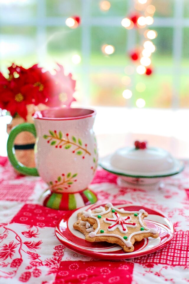 Hot cocoa red green colorful