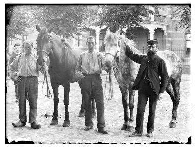Linnaeusstraat (thv nr) 89 (max res)