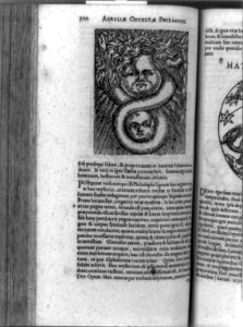 Lion-headed serpent devouring its eagle-headed tail entwined about faces representing an alchemical combination of mercury and sulfer, an emblem of the unity of all matter LCCN92517552