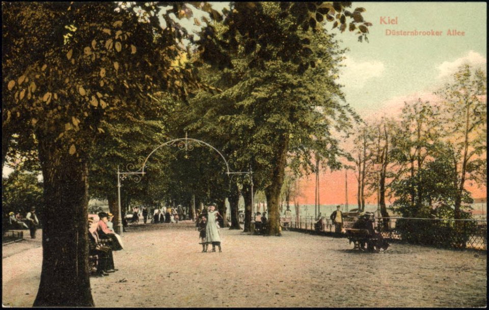 Lindenallee auf der Ostseite vom Schlossgarten (Düsternbrooker Allee) (Kiel 26.722)