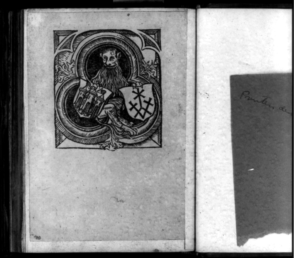 Lion with two shields LCCN2005692125