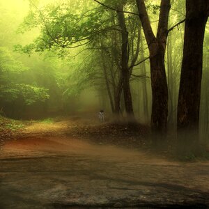 Digital art nature background image