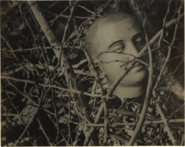 Lionel Wendt - Buddha head among branches