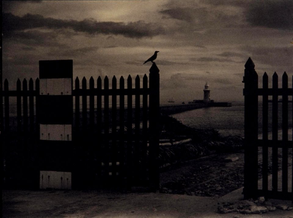 Lionel Wendt - Seascape with Fence, Bird and Gateway