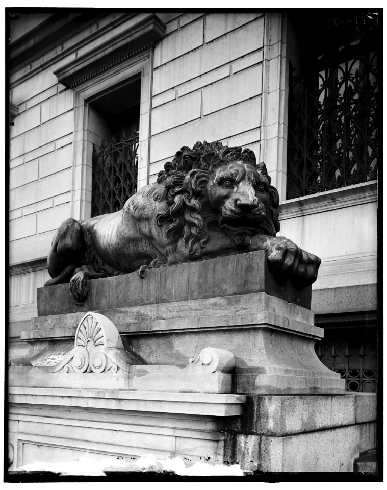 Lions at Corcoran Art Gallery LOC hec.13840
